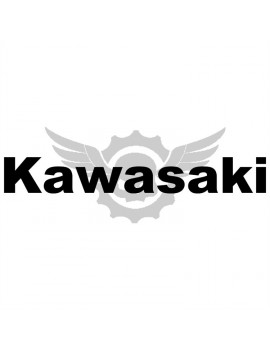 Vinilos Kawasaki Letras