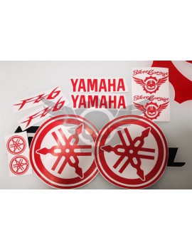 Kit Adhesivos Yamaha FZ6