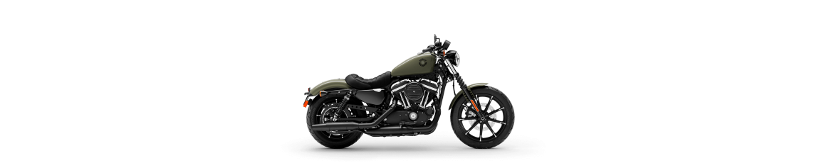SPORTSTER 2015 / 2022 XL